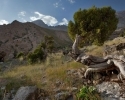 Scenery of the Tajik Mountains