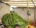 Tajik people