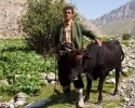 Tajik people