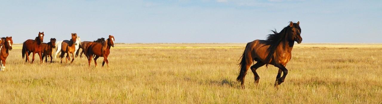 Kazakhstan tours