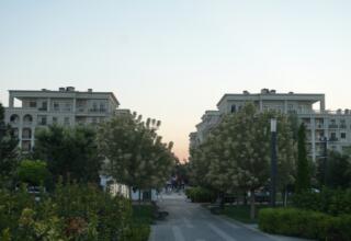 Uzbekistan 3-day tour / 2