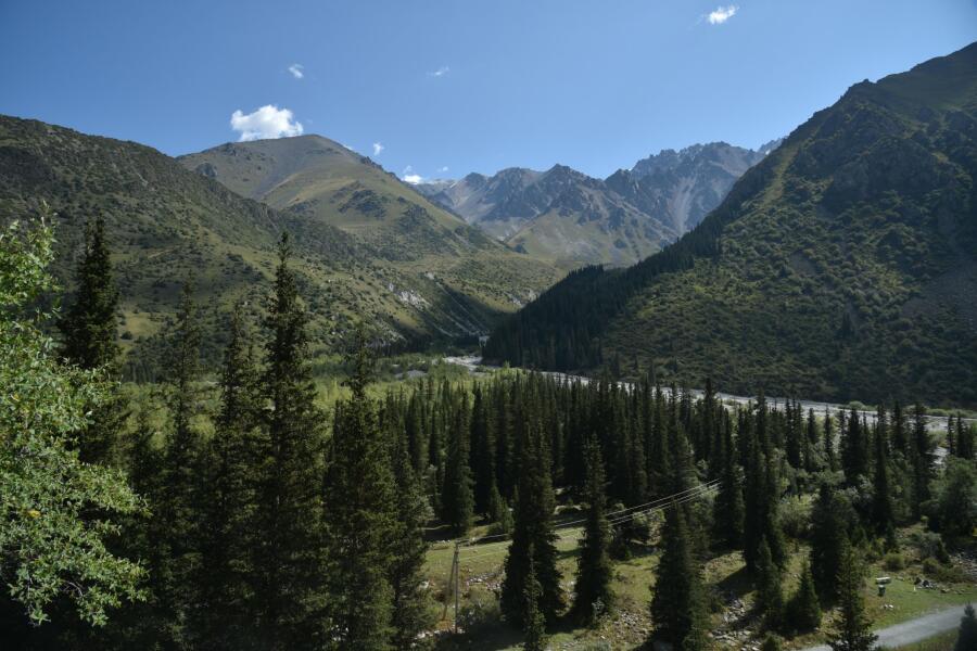 Main photo