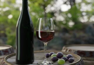 Wine tasting tour